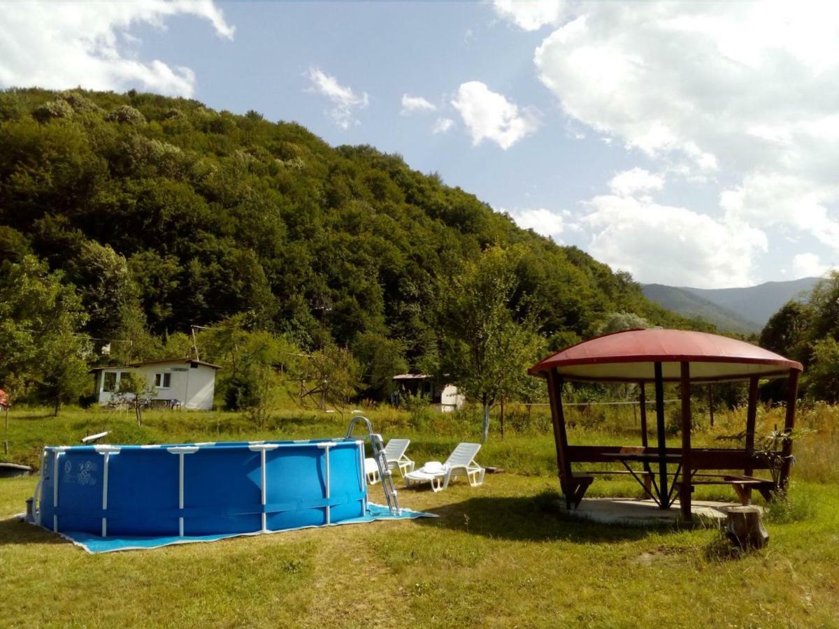Bungalows Zdravets Berkovitsa Eksteriør billede